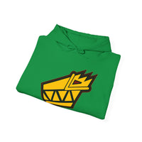 Kyoryuger Hoodie